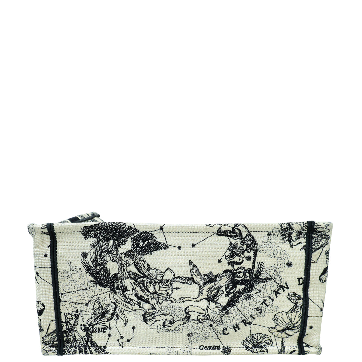 Dior Book Tote Tote - Rovelle Bags