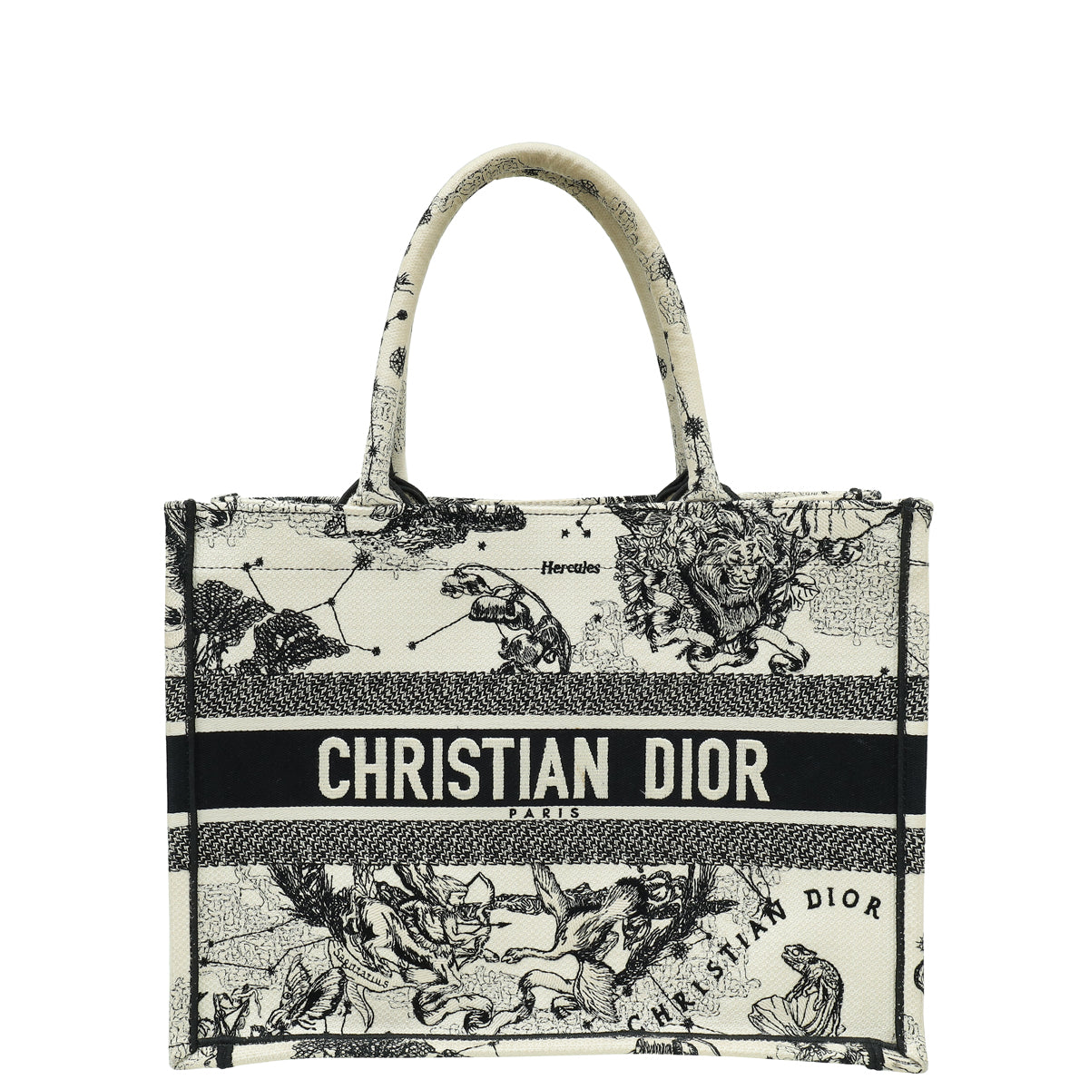 Dior Book Tote Tote - Rovelle Bags