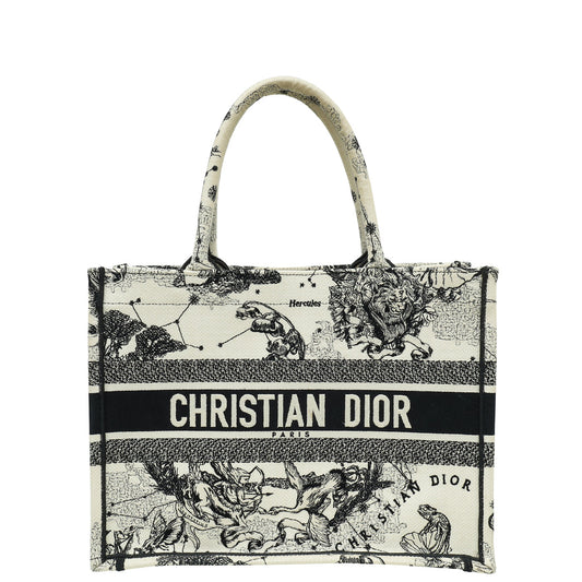 Dior Book Tote Tote - Rovelle Bags