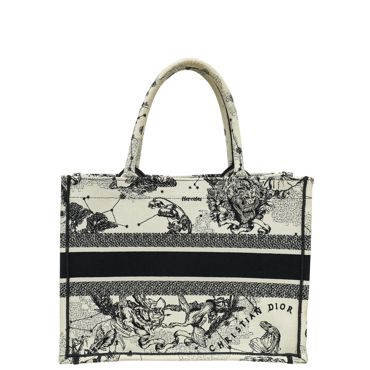 Dior Book Tote Tote - Rovelle Bags