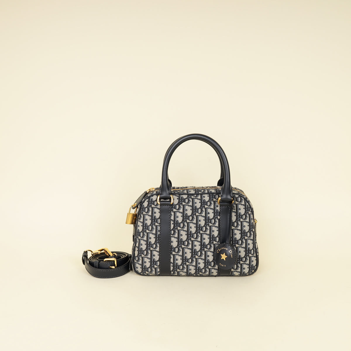Dior Oblique Handbag - Rovelle Bags