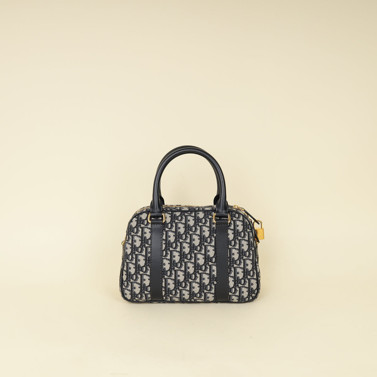 Dior Oblique Handbag - Rovelle Bags