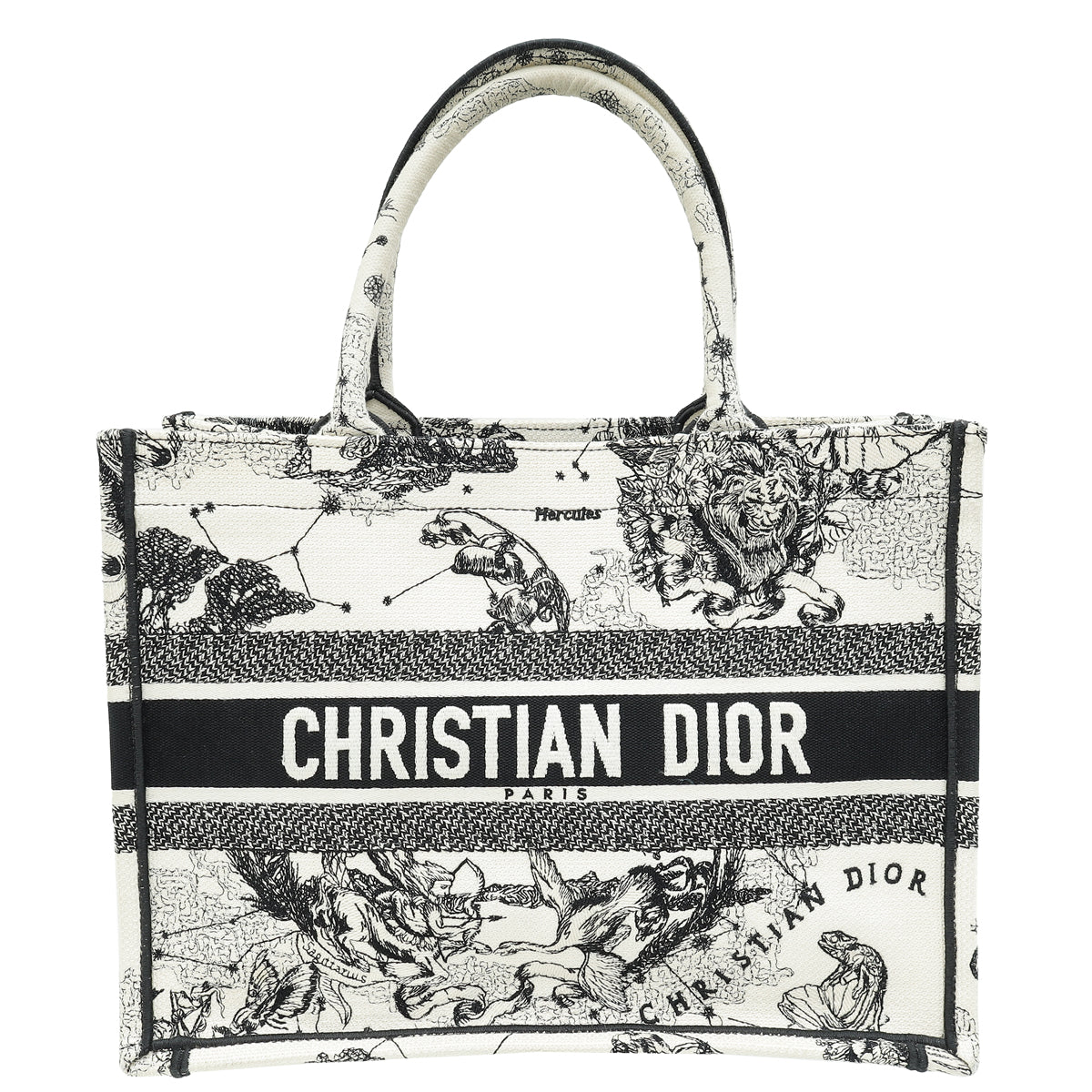 Dior Book Tote Tote - Rovelle Bags