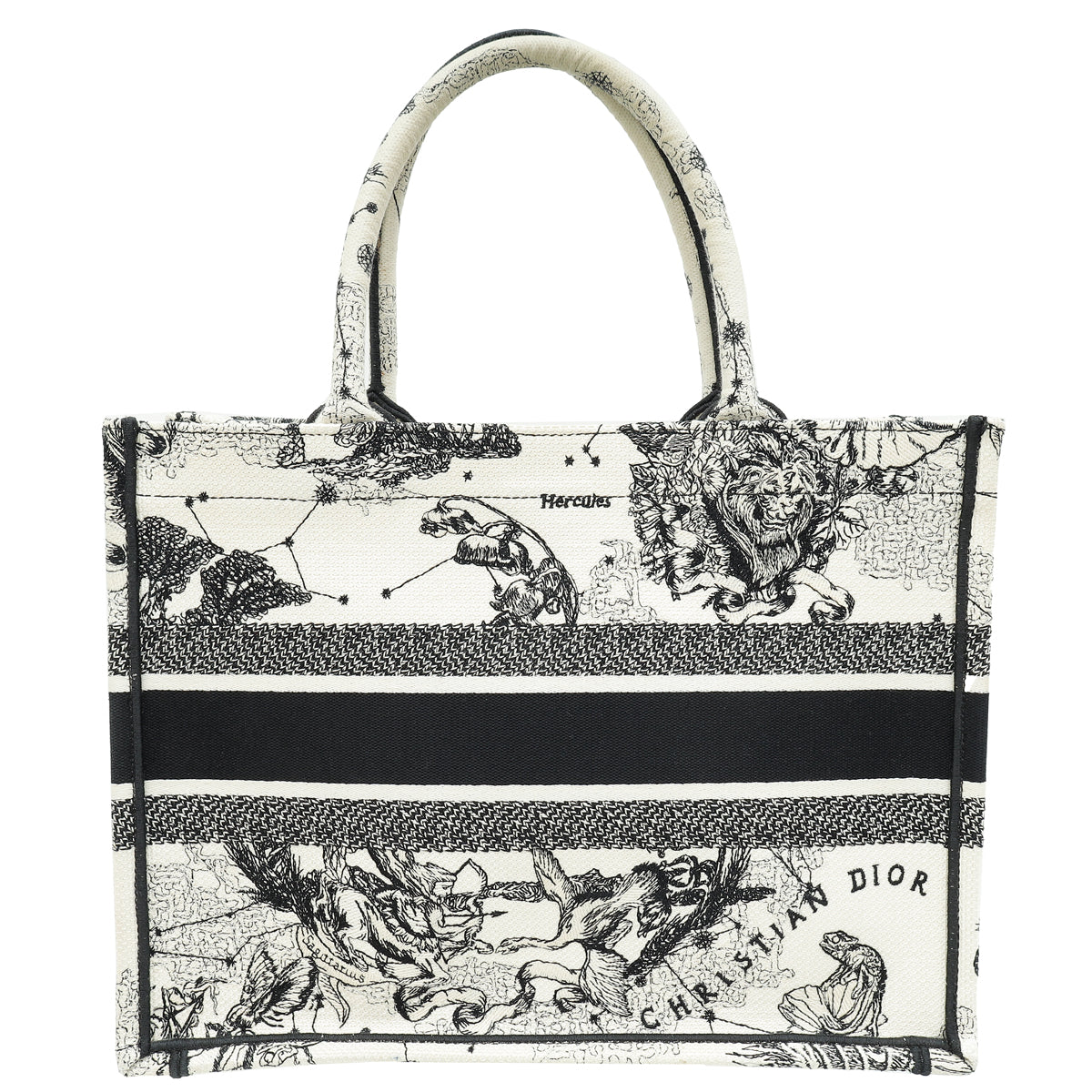 Dior Book Tote Tote - Rovelle Bags