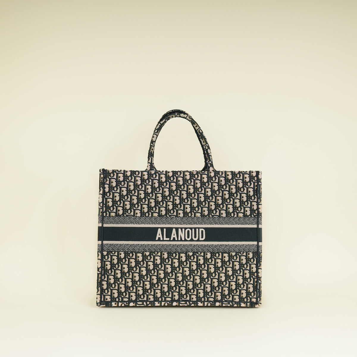 Dior Book Tote Tote - Rovelle Bags