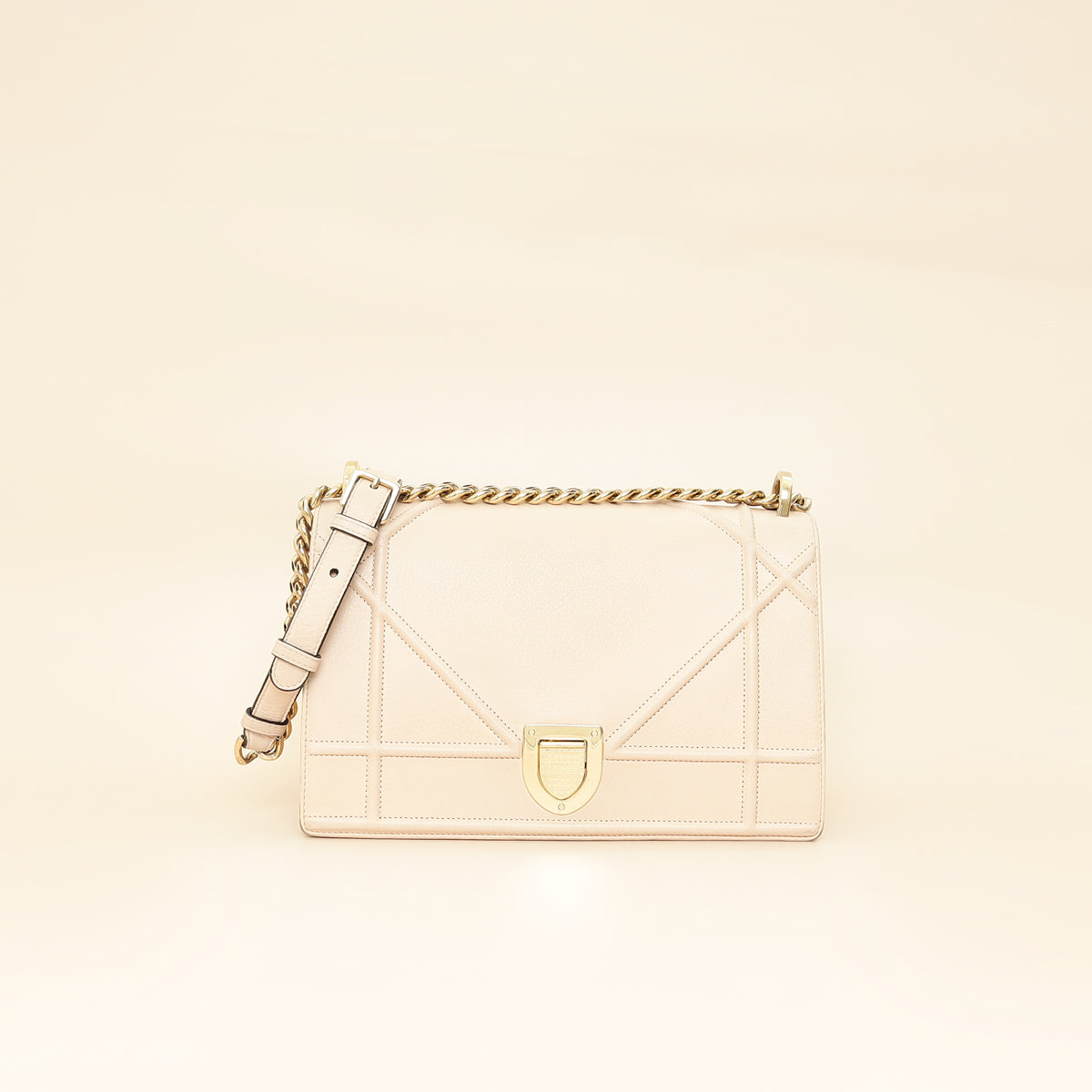 Dior Diorama Shoulder Bag - Rovelle Bags