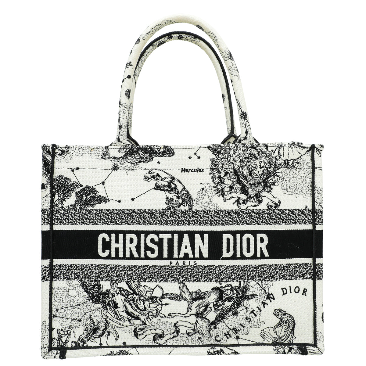 Dior Book Tote Tote - Rovelle Bags