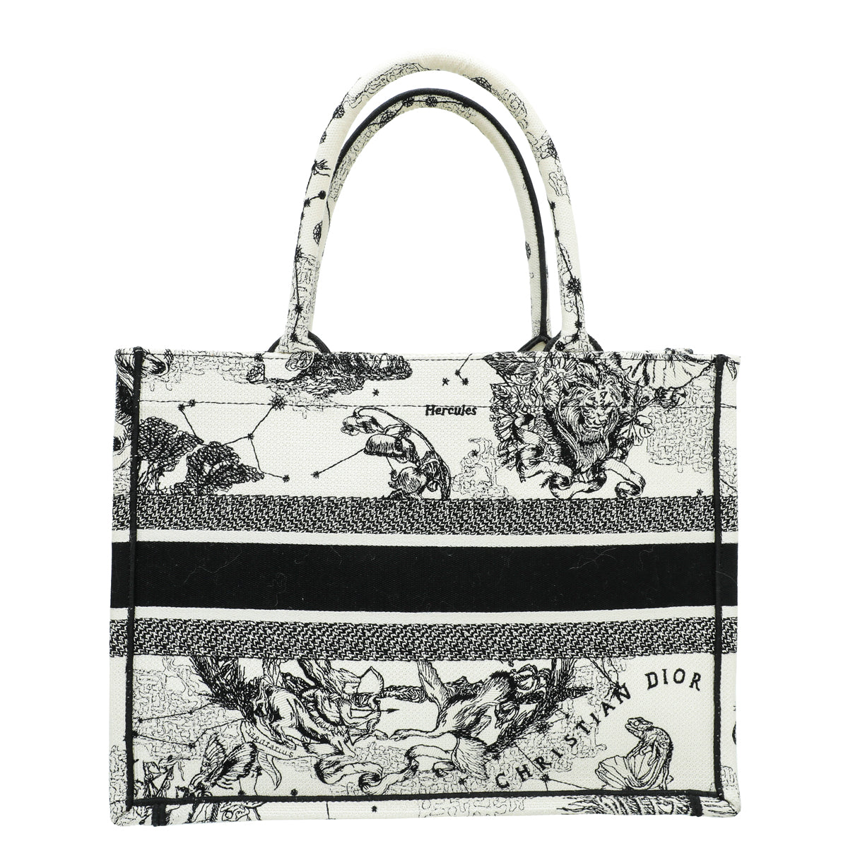 Dior Book Tote Tote - Rovelle Bags