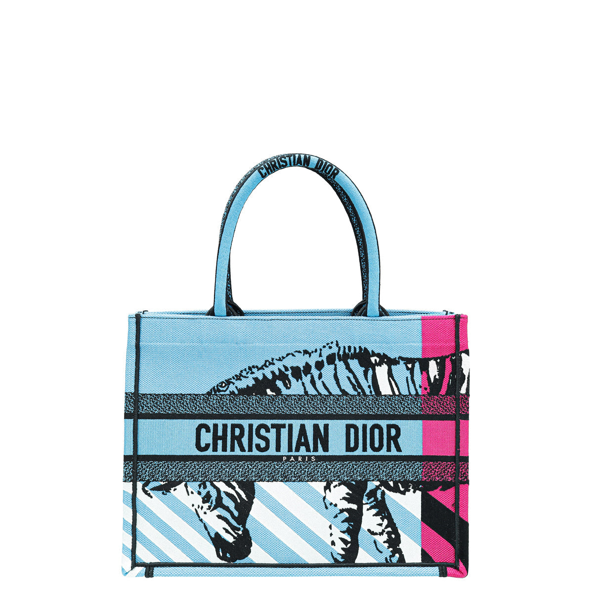 Dior Book Tote Tote - Rovelle Bags
