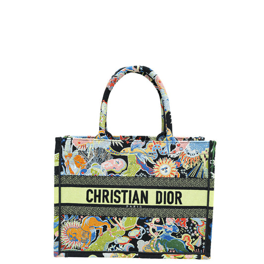 Dior Book Tote Tote - Rovelle Bags
