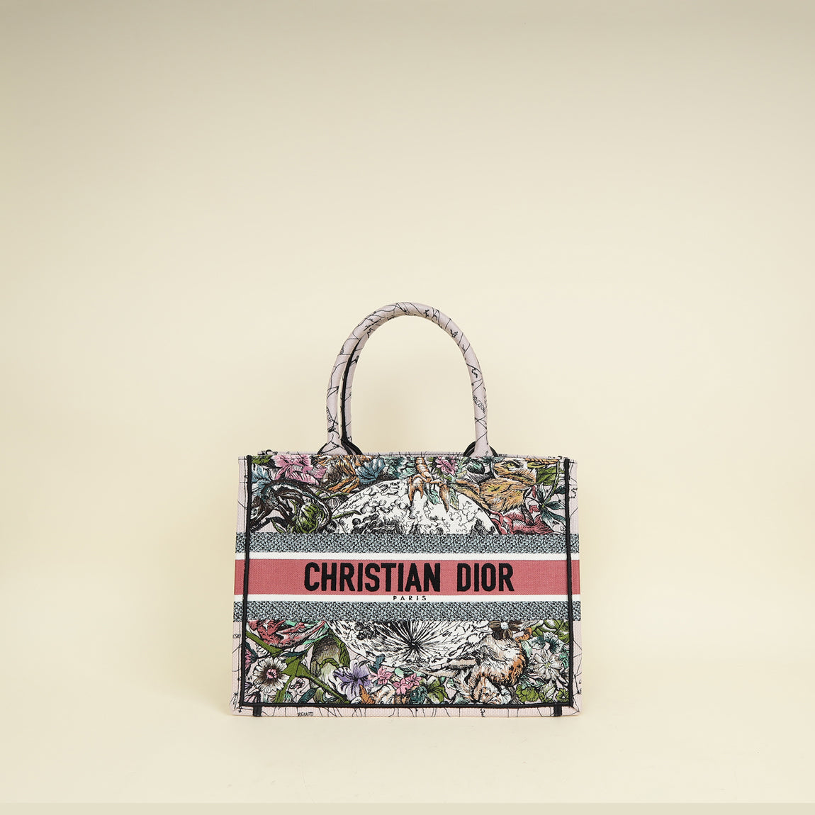 Dior Book Tote Tote - Rovelle Bags