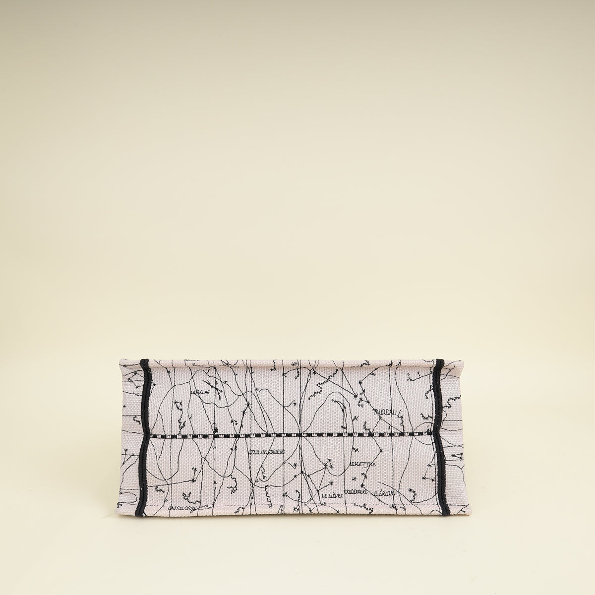 Dior Book Tote Tote - Rovelle Bags