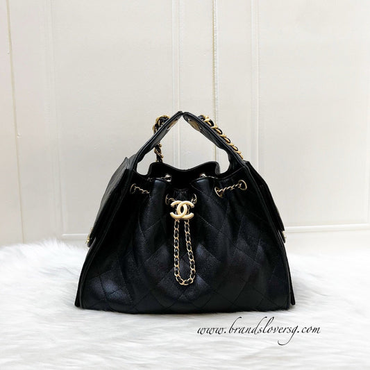 Chanel 25 Small Hobo Hobo Bag - Rovelle Bags