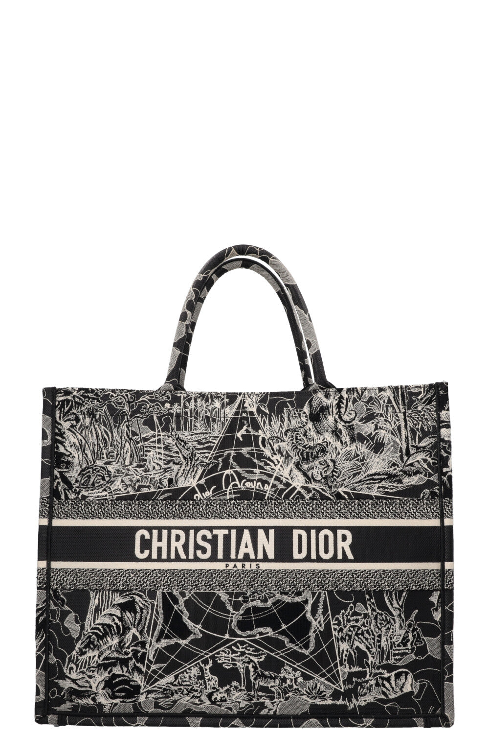 Dior Book Tote Tote - Rovelle Bags