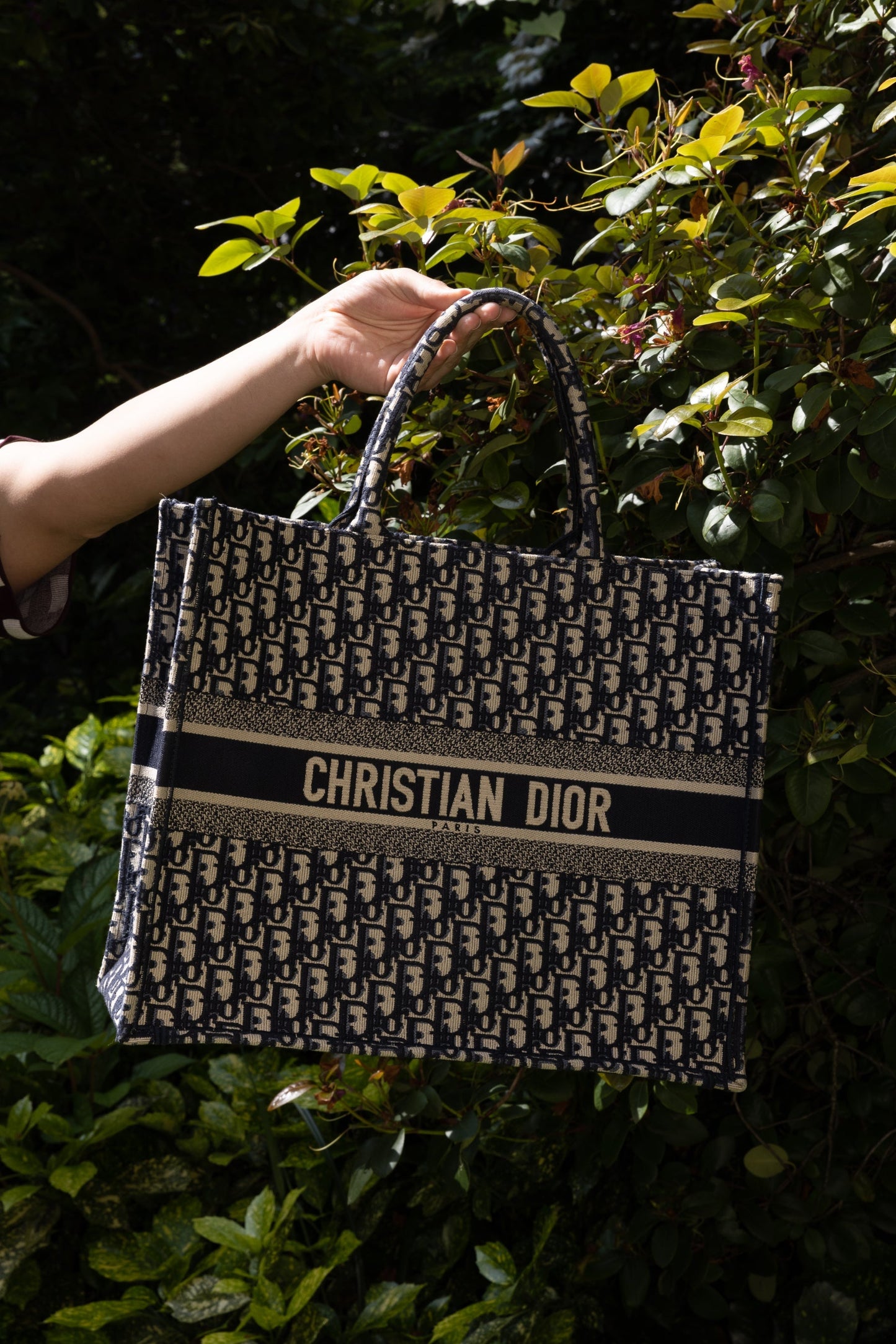 Dior Book Tote Tote - Rovelle Bags