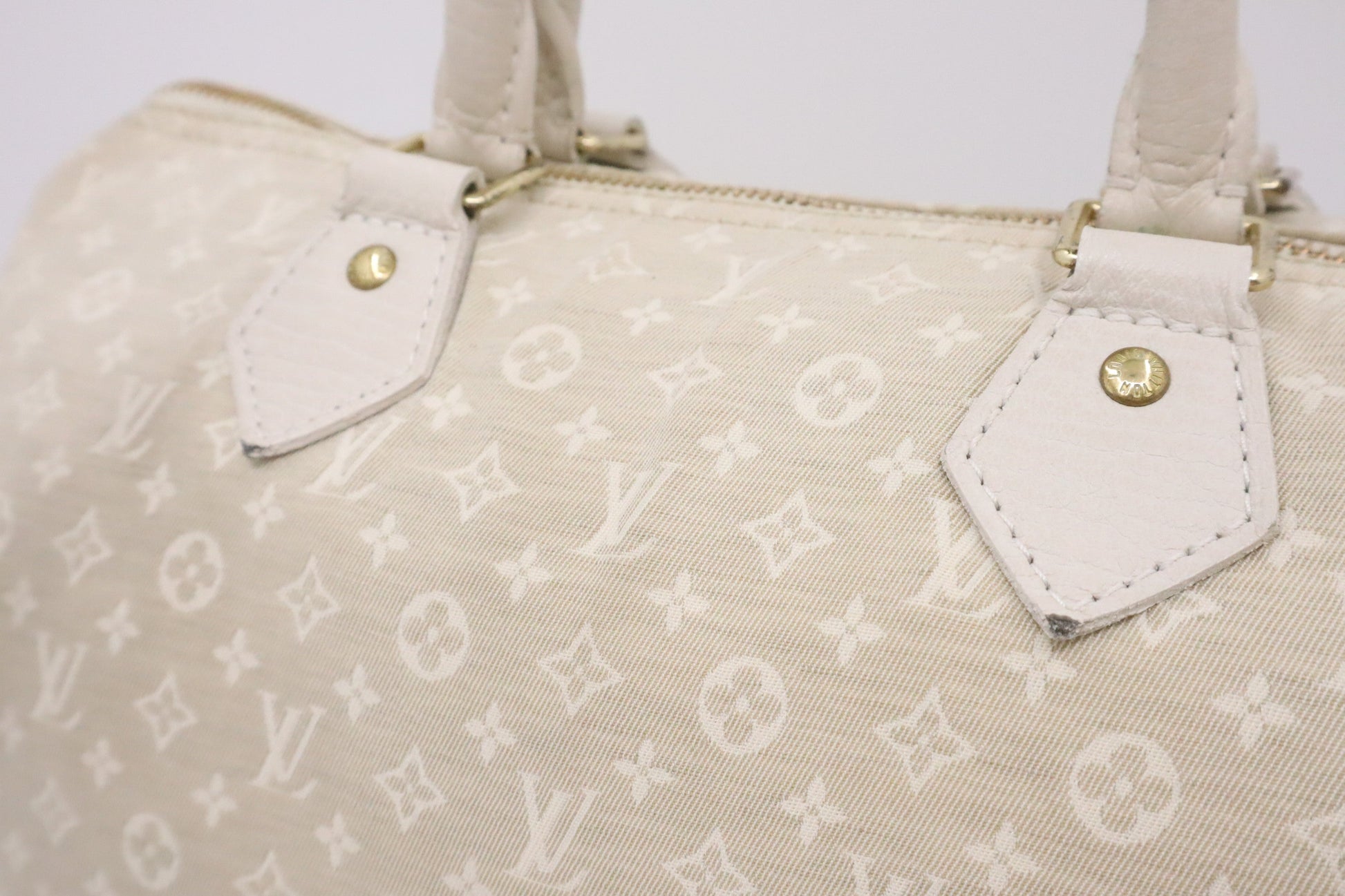Louis Vuitton Speedy 30 in Dune Minilin Canvas