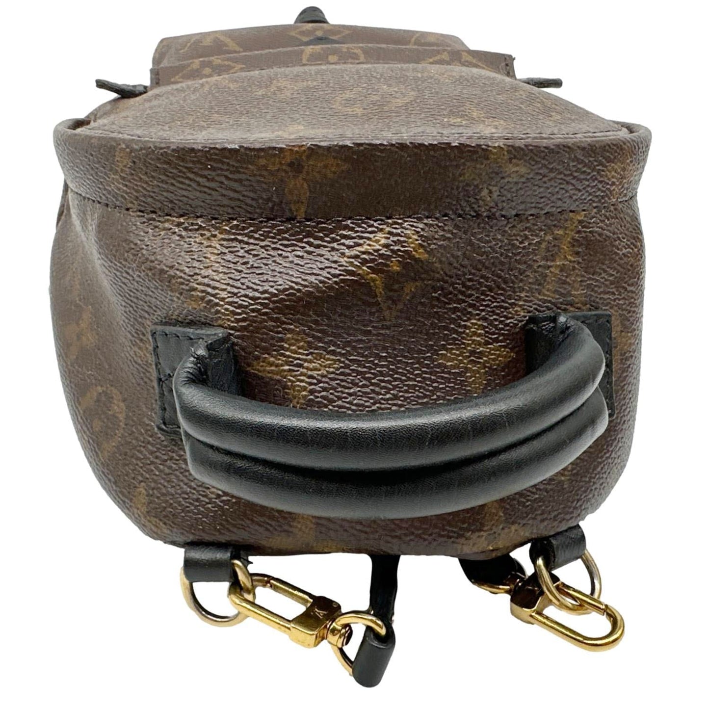 LOUIS VUITTON Palm Spring Mini Monogram Canvas Backpack Brown