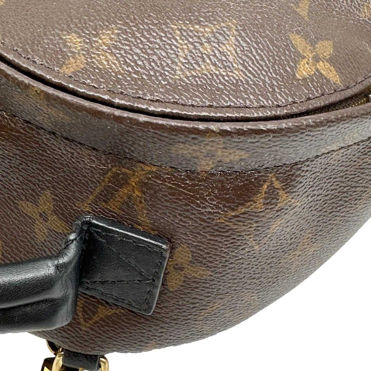 LOUIS VUITTON Palm Spring Mini Monogram Canvas Backpack Brown