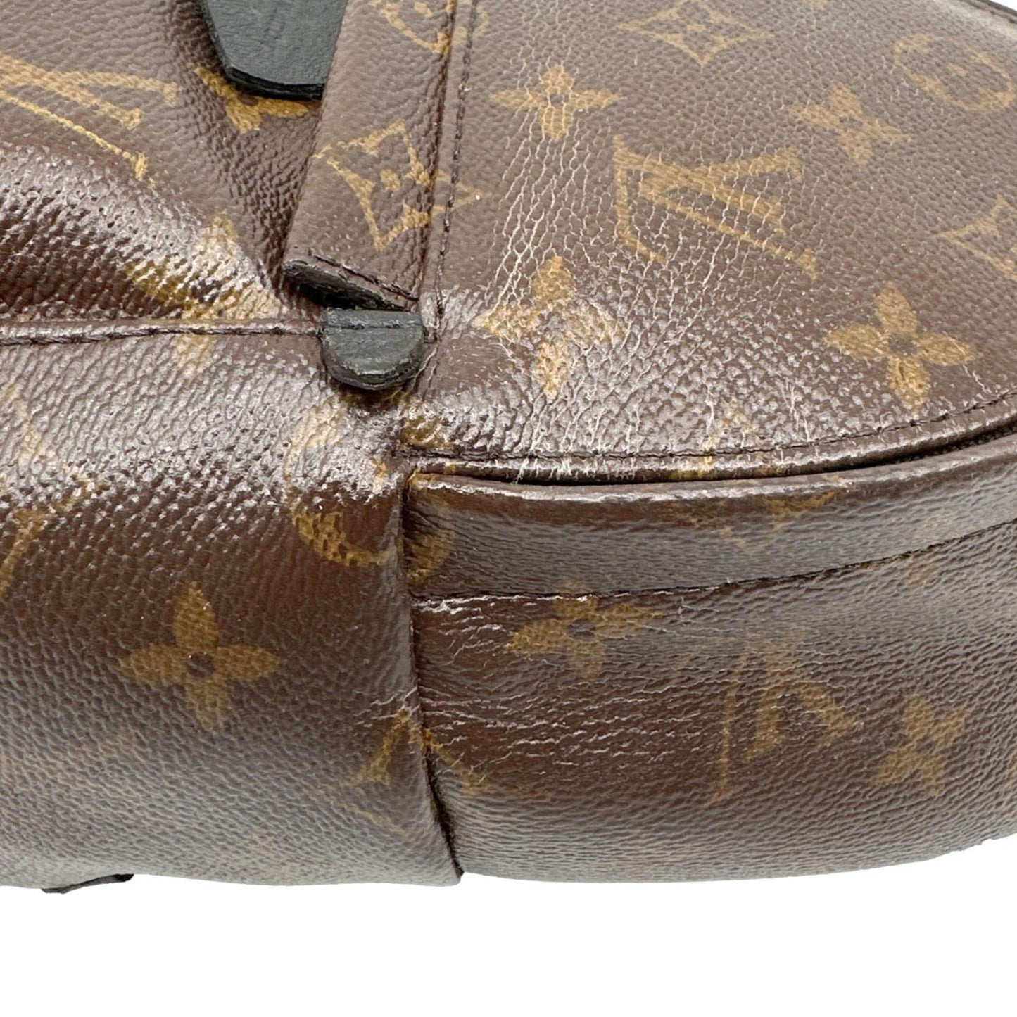 LOUIS VUITTON Palm Spring Mini Monogram Canvas Backpack Brown