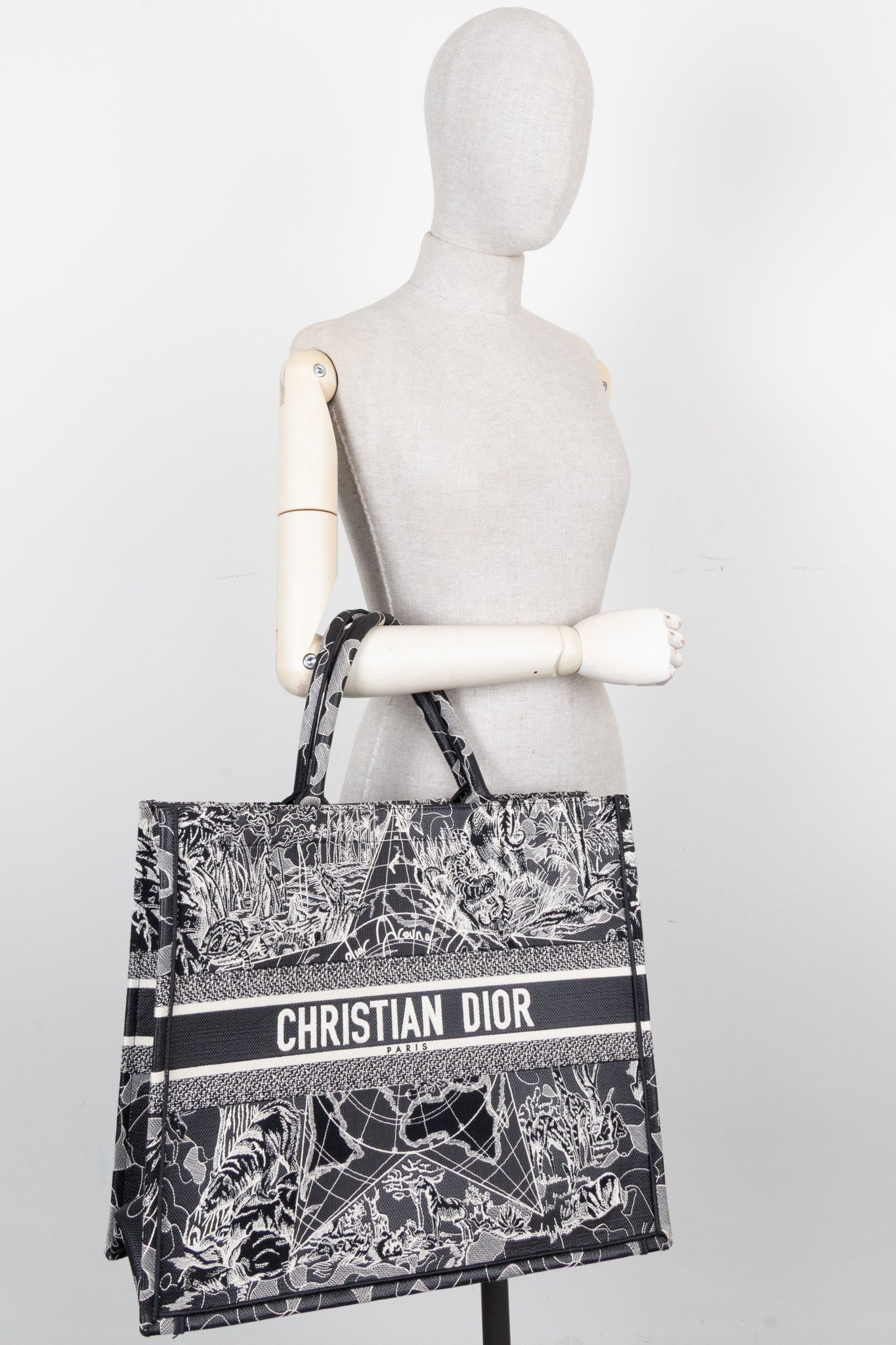 Dior Book Tote Tote - Rovelle Bags