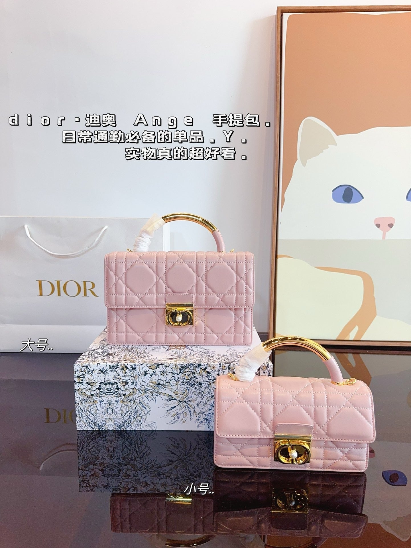 Dior Chain Leather Crossbody