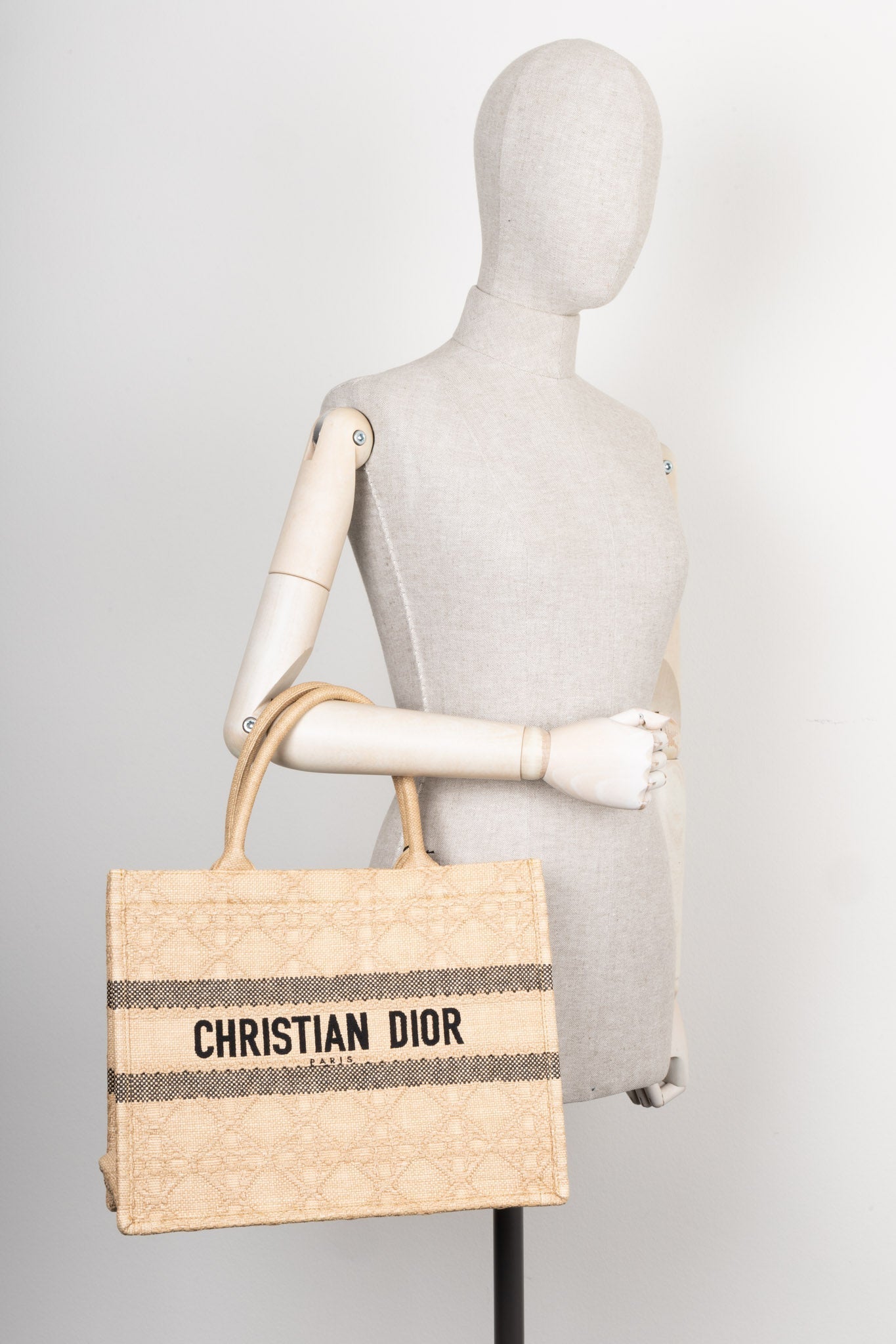 Dior Book Tote Tote - Rovelle Bags