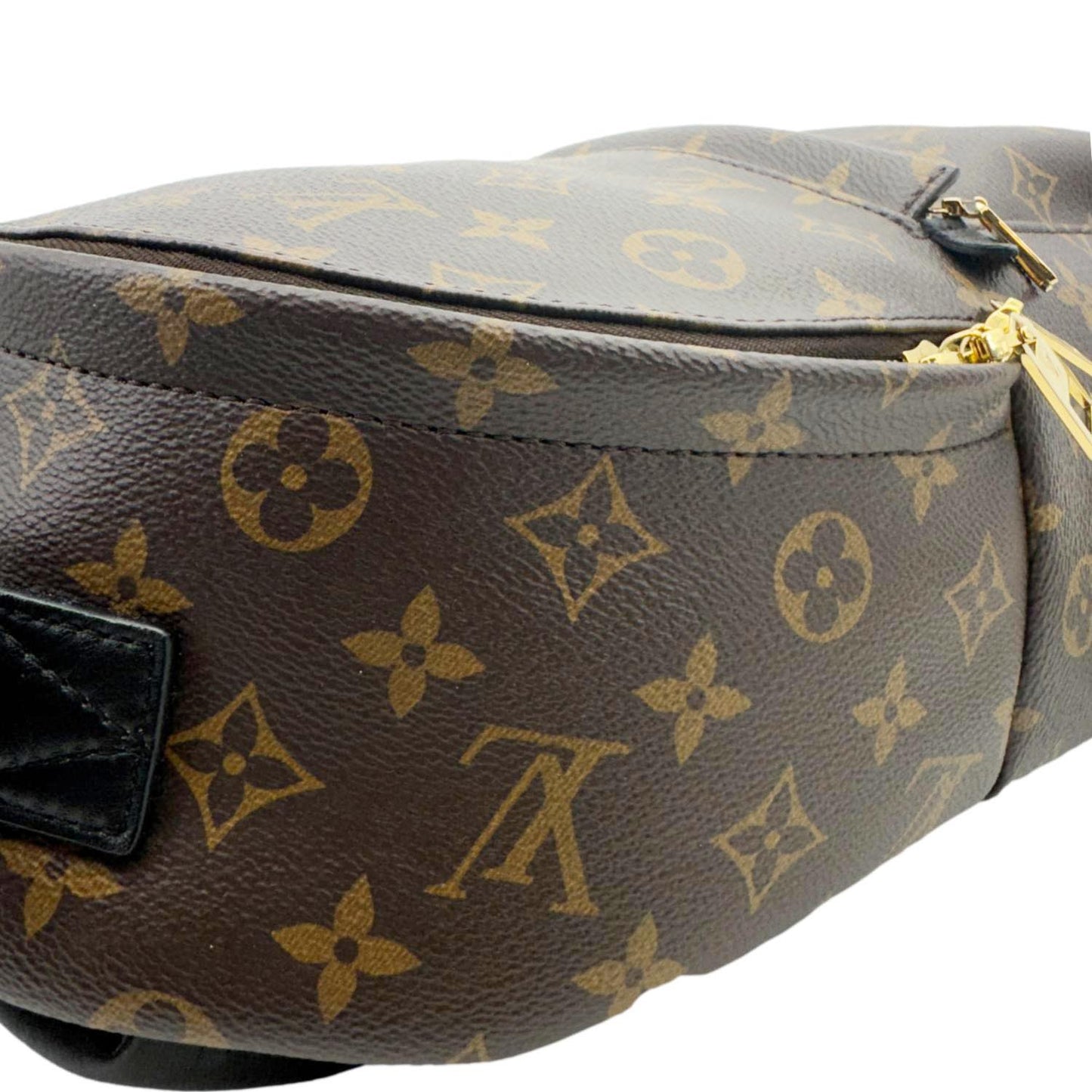 LOUIS VUITTON Palm Spring PM Monogram Canvas Backpack Brown