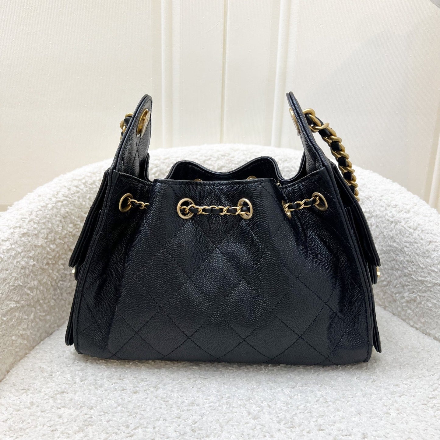 Chanel 25 Mini Hobo Hobo Bag - Rovelle Bags