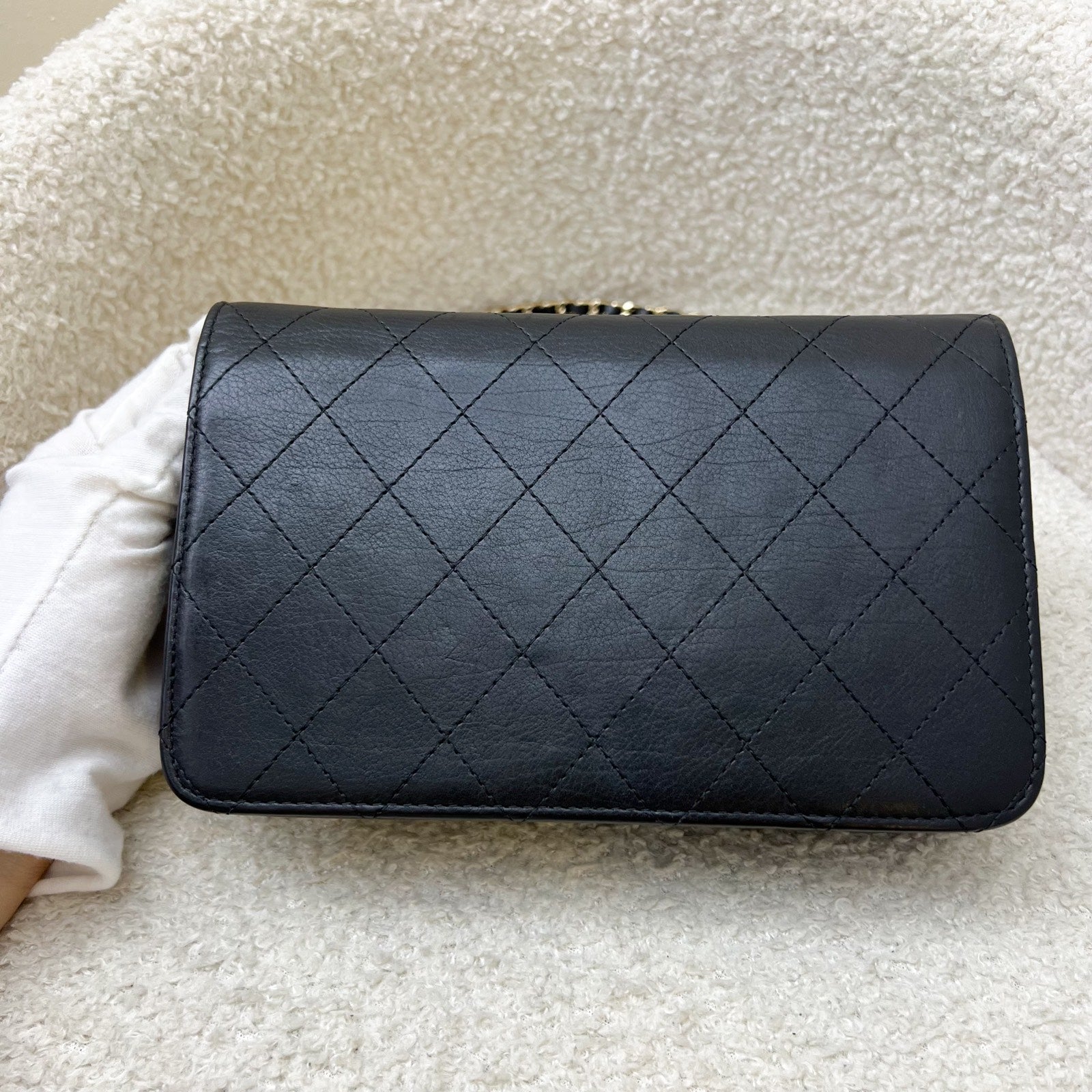 Chanel Seasonal Wallet on Chain WOC Crossbody Bag - Rovelle Bags