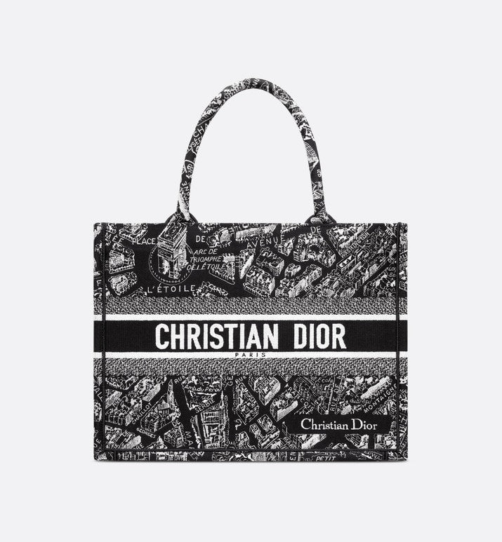 Dior Book Tote Tote