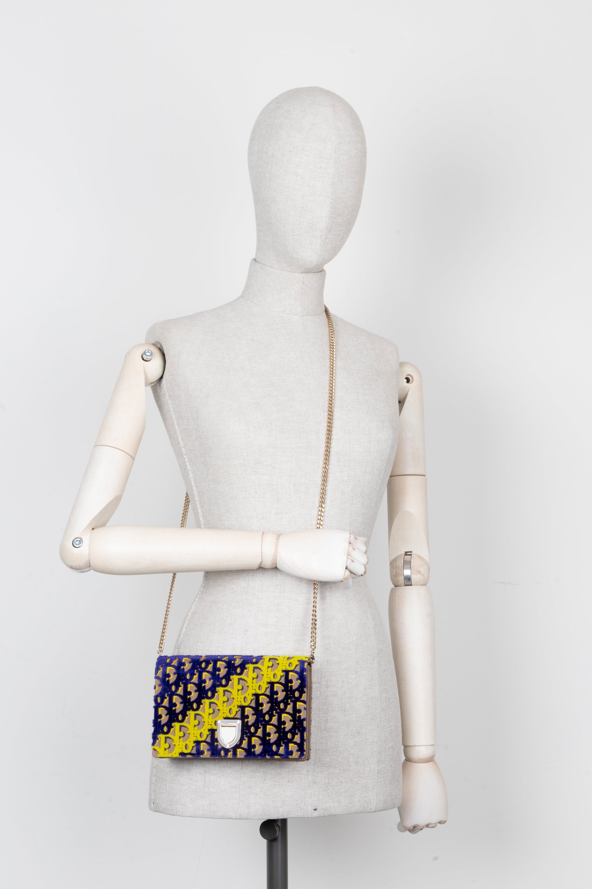 Dior Diorama Crossbody - Rovelle Bags
