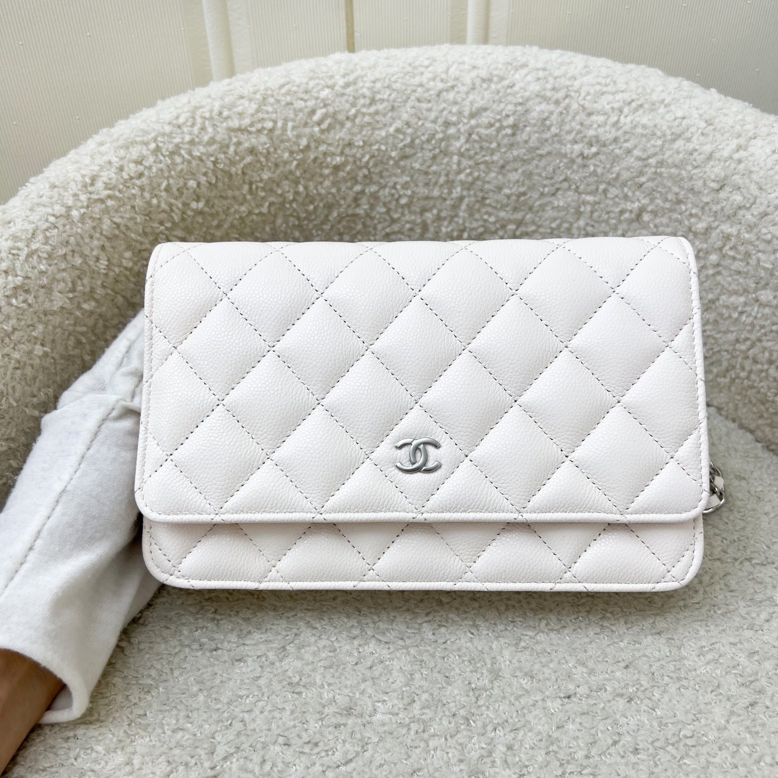 Chanel Classic Wallet on Chain WOC Crossbody Bag - Rovelle Bags