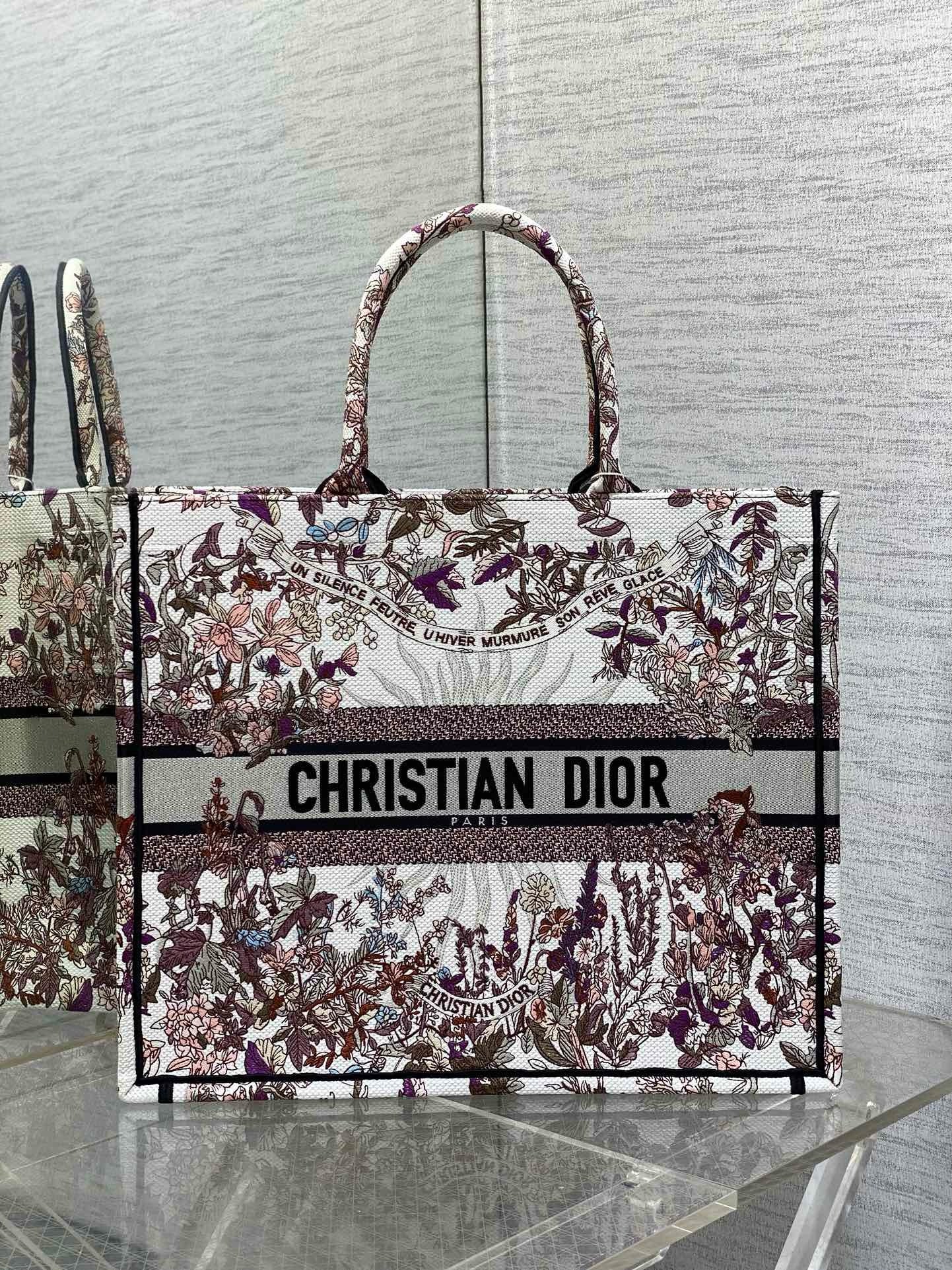 Dior Book Tote Tote