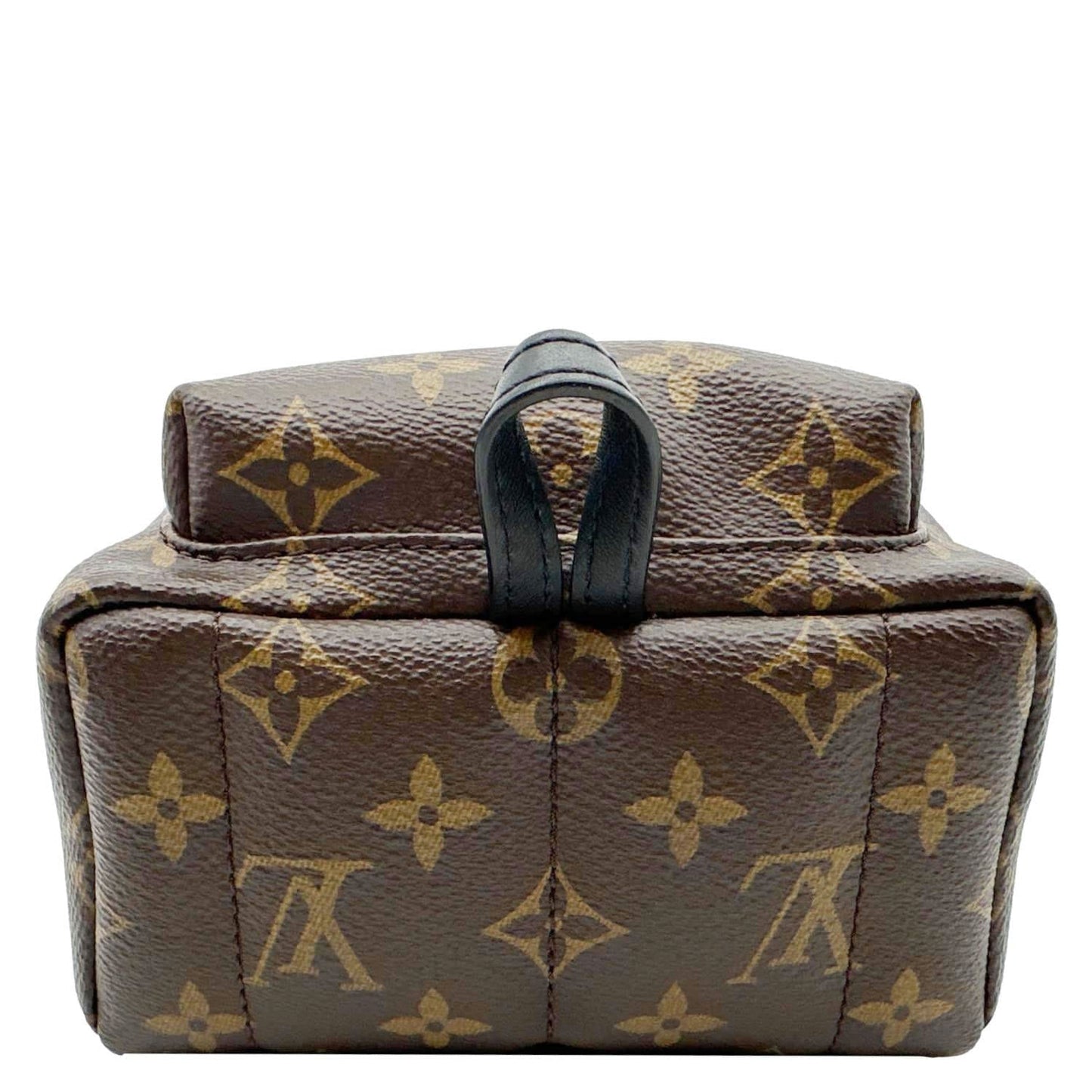 LOUIS VUITTON Palm Spring Mini Monogram Canvas Backpack Brown