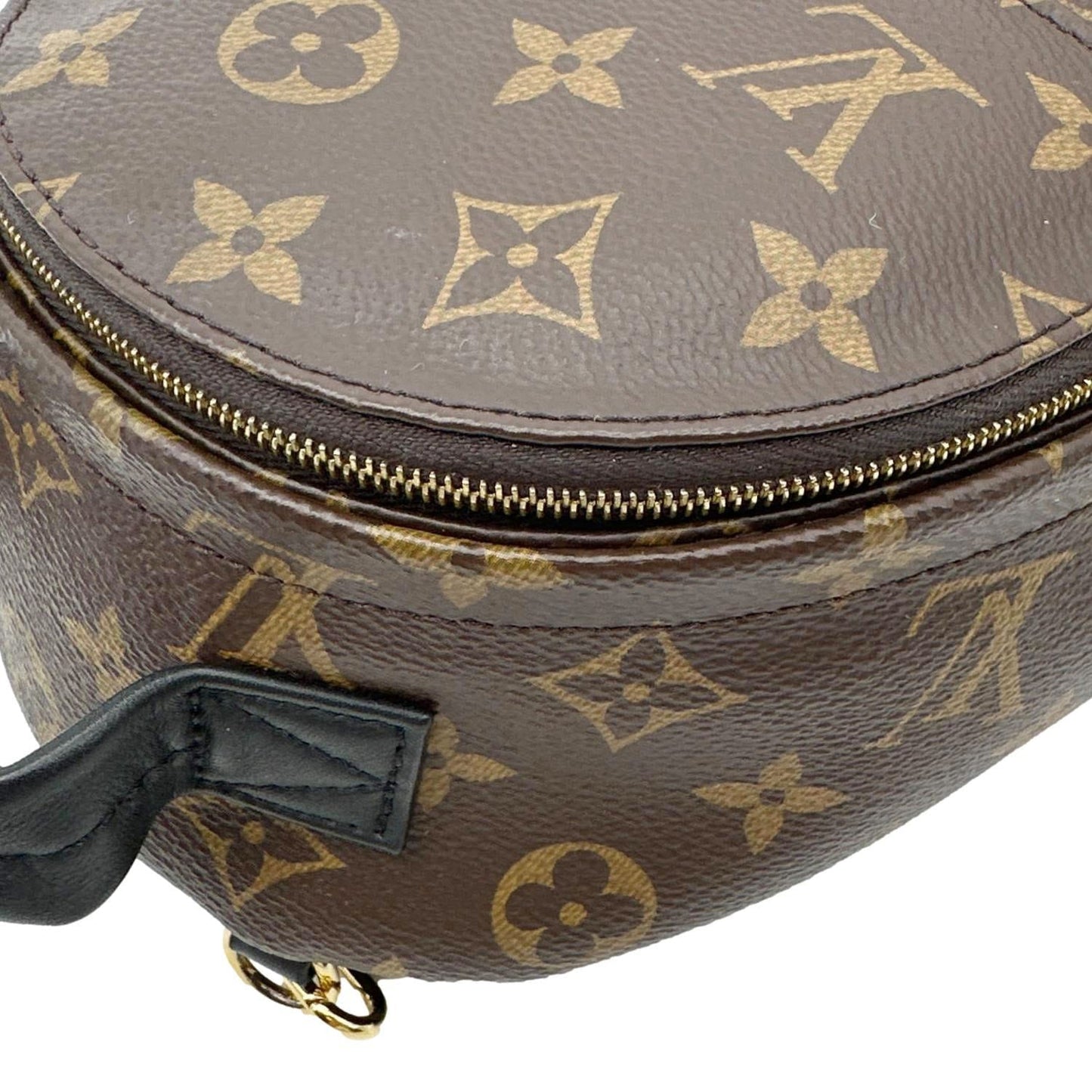 LOUIS VUITTON Palm Spring Mini Monogram Canvas Backpack Brown