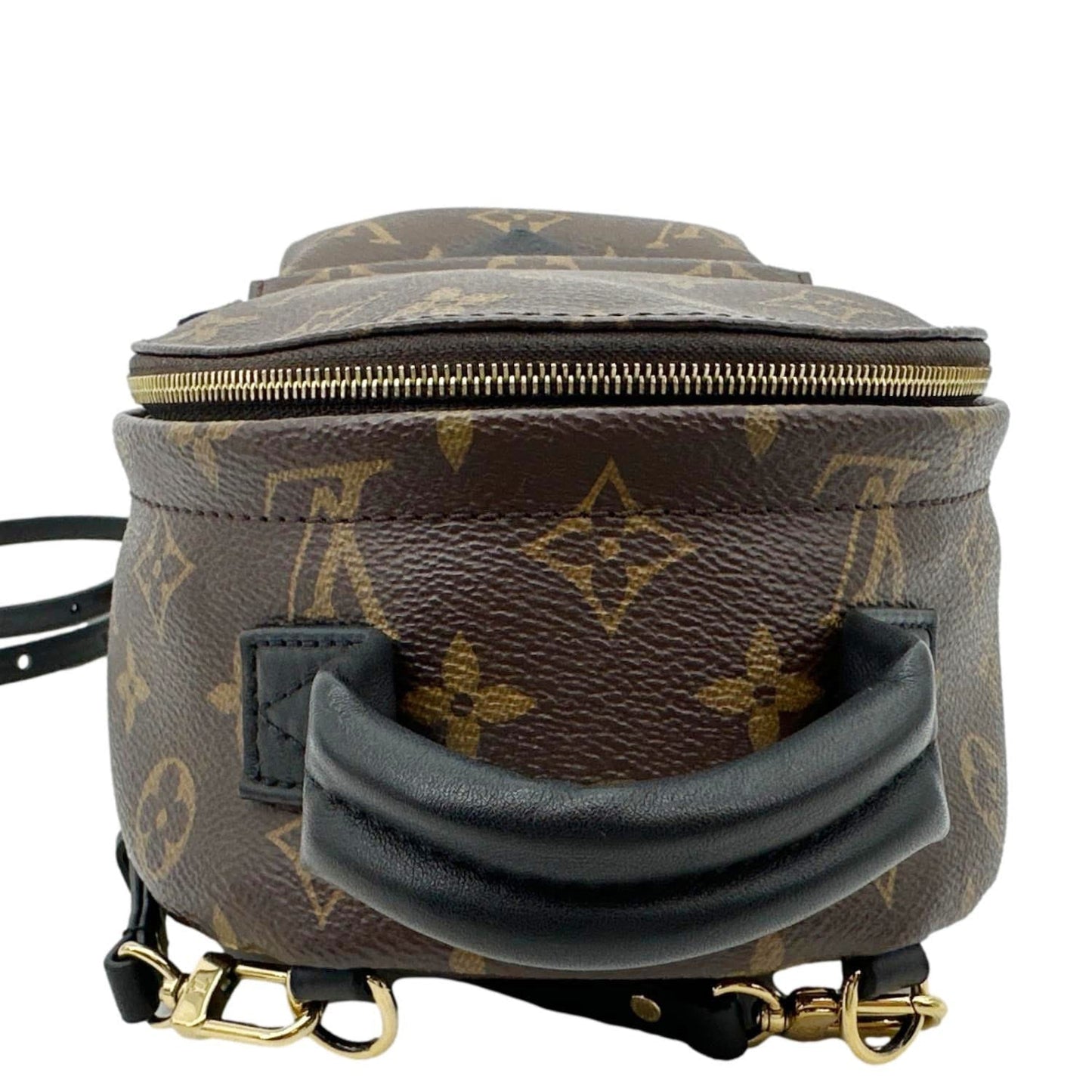 LOUIS VUITTON Palm Spring Mini Monogram Canvas Backpack Brown