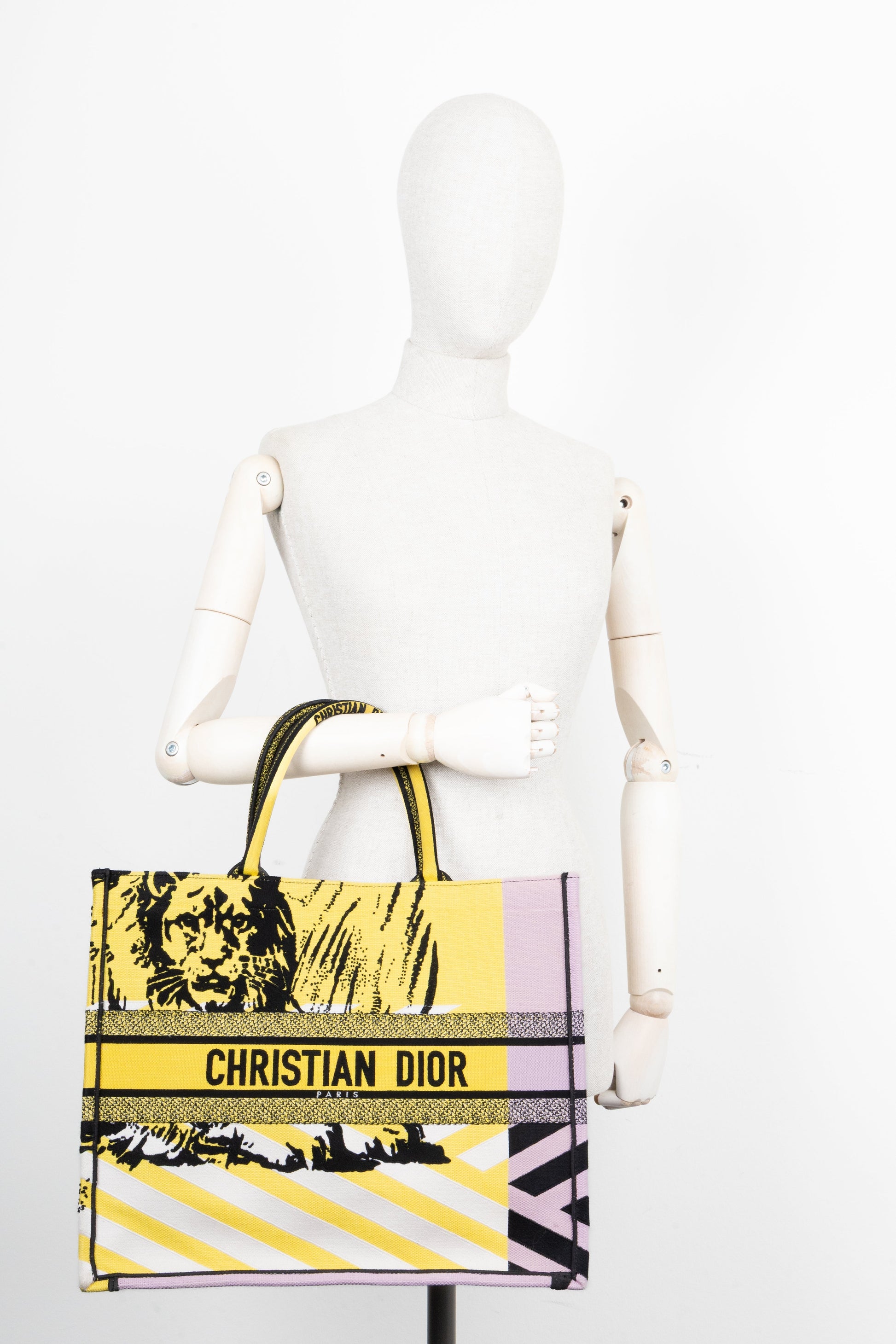 Dior Book Tote Tote - Rovelle Bags