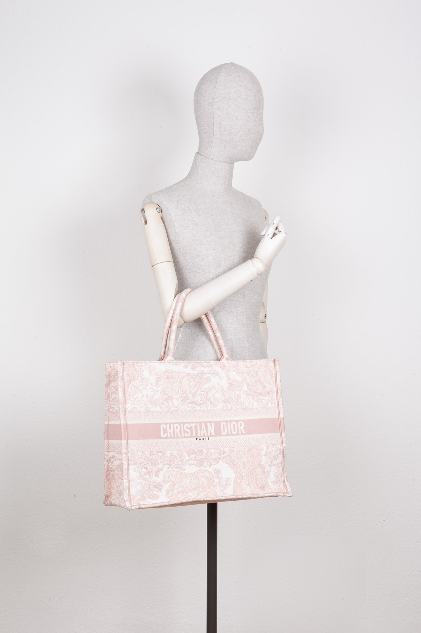 Dior Book Tote Tote - Rovelle Bags
