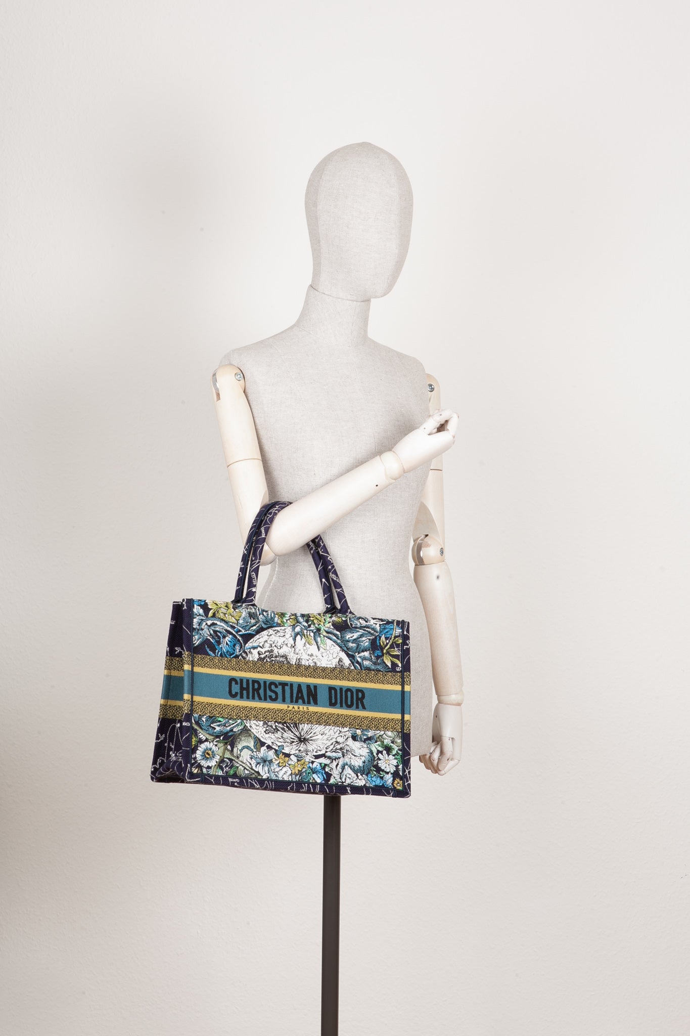 Dior Book Tote Tote - Rovelle Bags