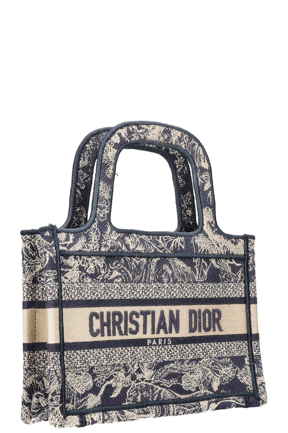 Dior Book Tote Mini Canvas Tote