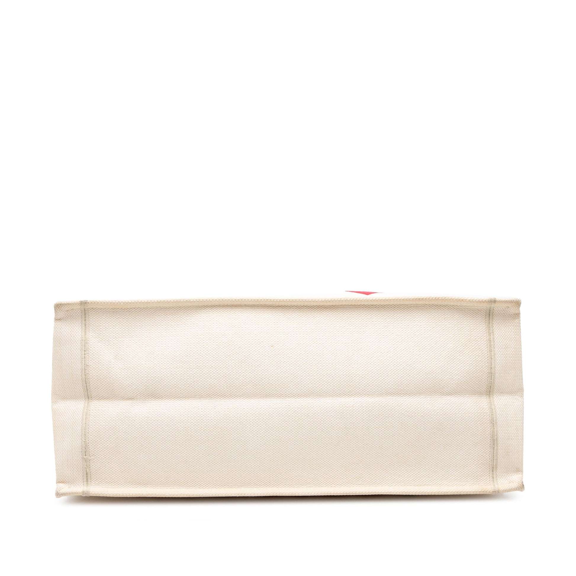 Dior Book Tote Tote - Rovelle Bags