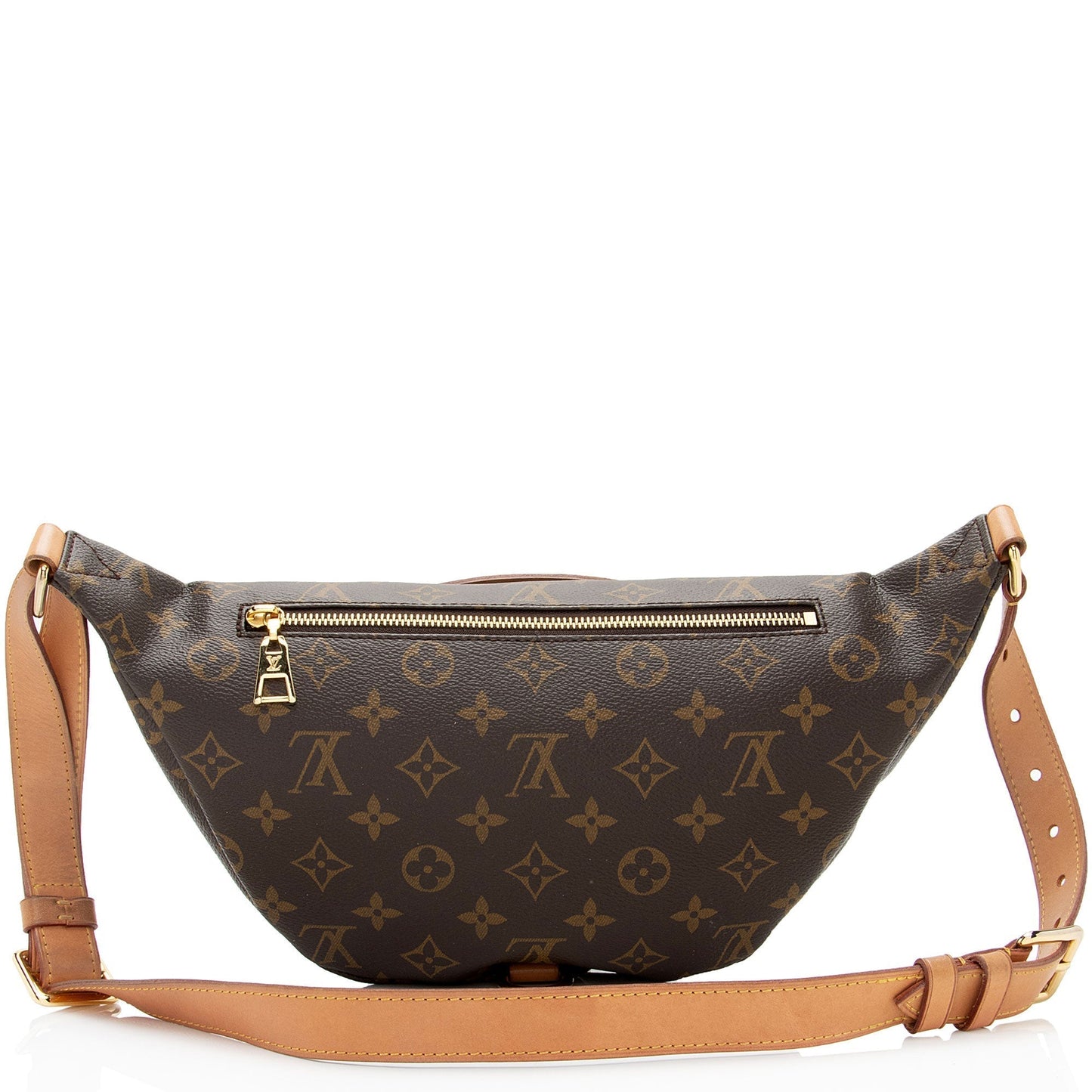 Louis Vuitton Monogram Canvas Bumbag (SHF-jnv8ax)