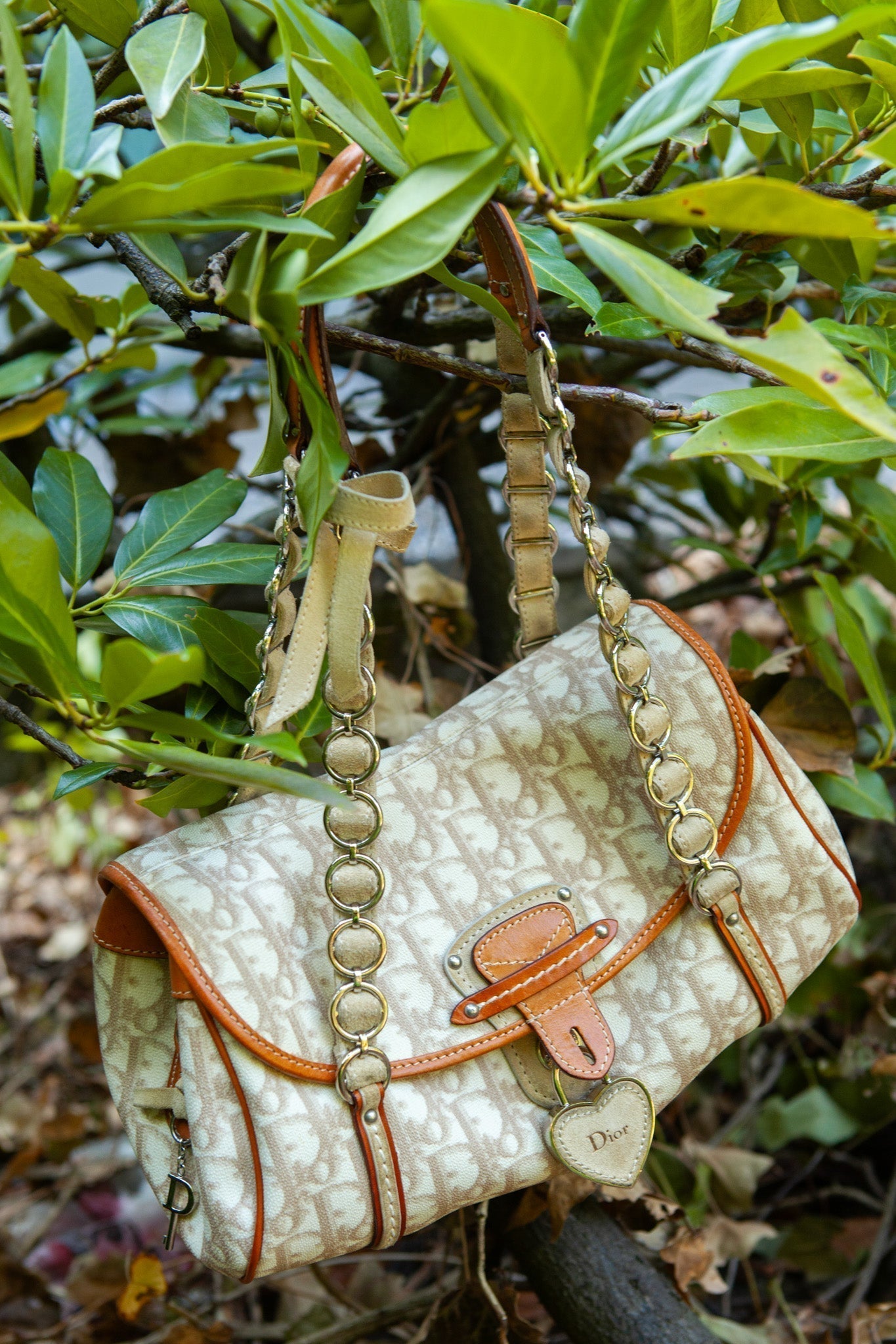 Dior Shoulder Bag
