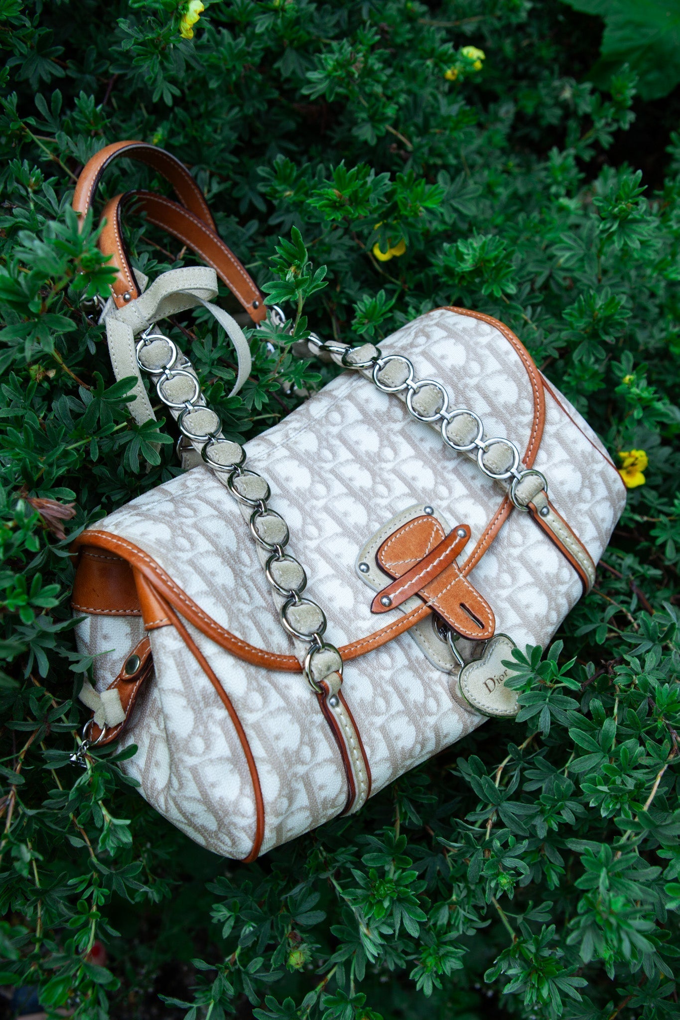 Dior Shoulder Bag