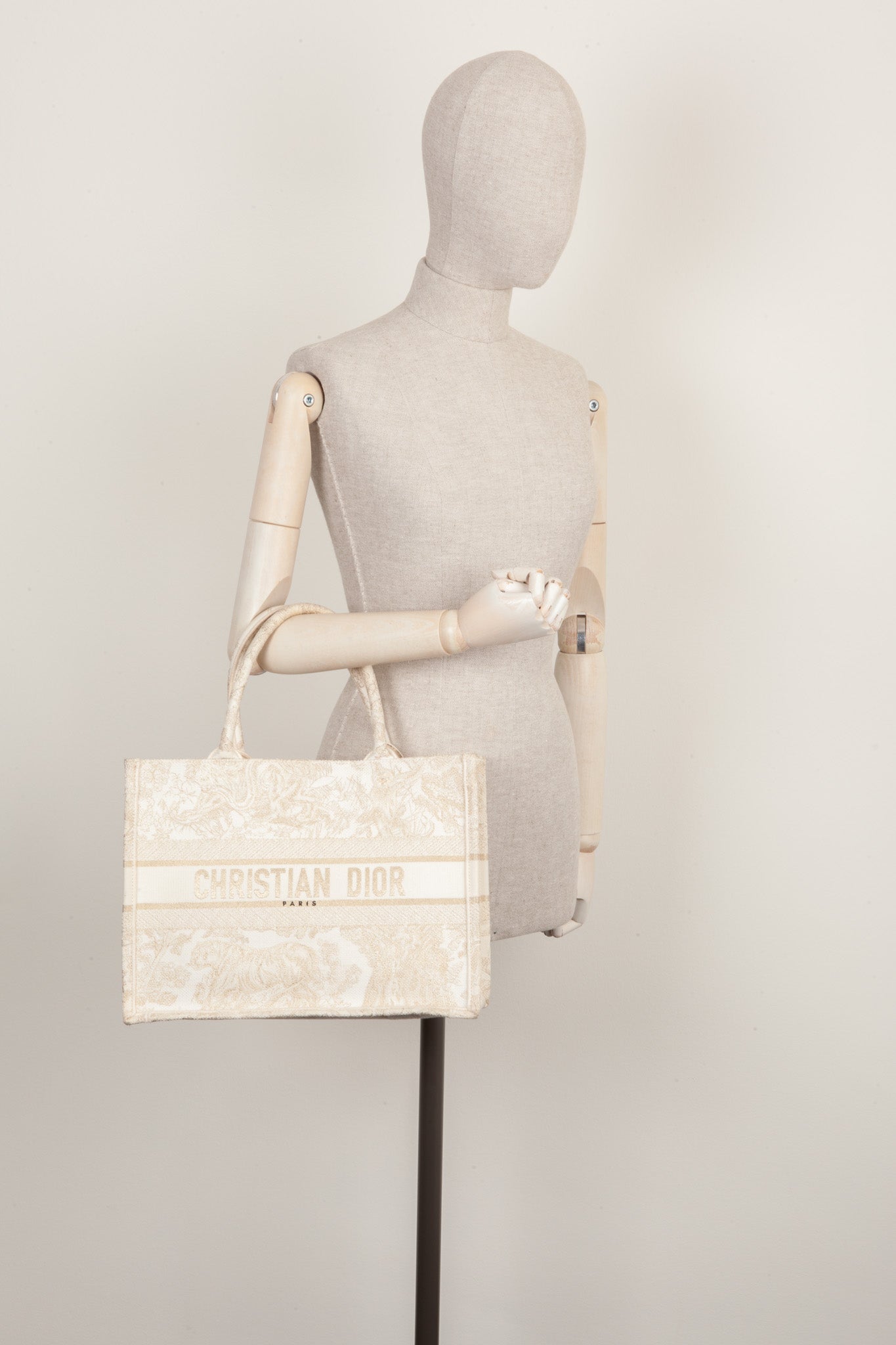 Dior Book Tote Tote - Rovelle Bags