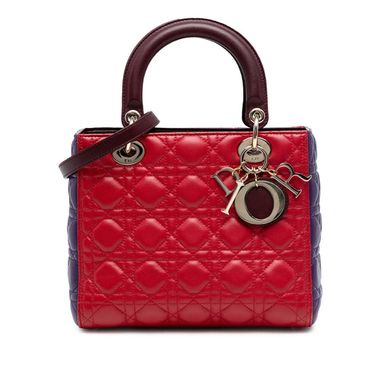Dior Lady Dior Handbag - Rovelle Bags