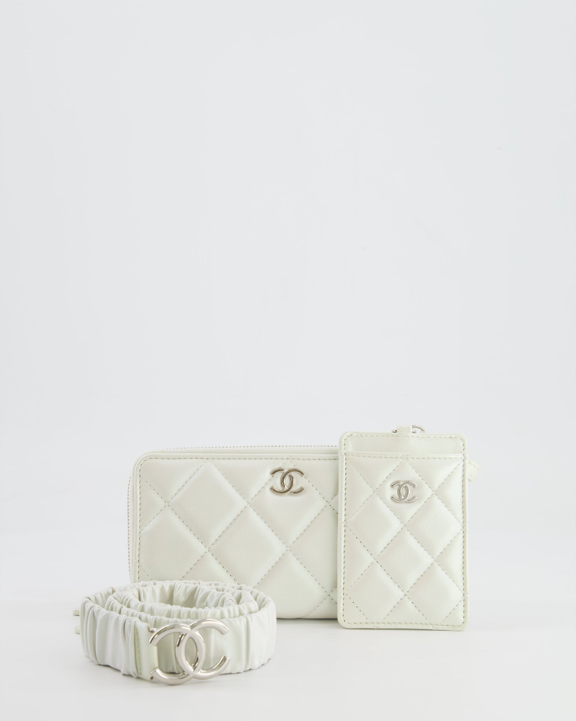 Chanel *HOT* Chanel Coco Neige White Handbag - Rovelle Bags