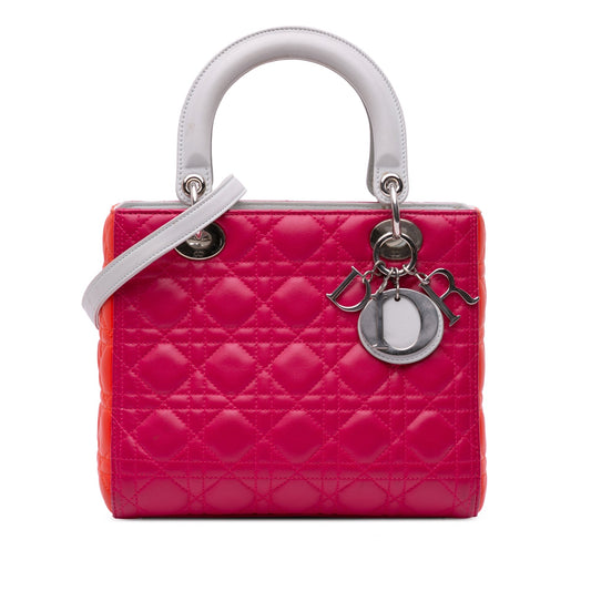 Dior Lady Dior Handbag - Rovelle Bags