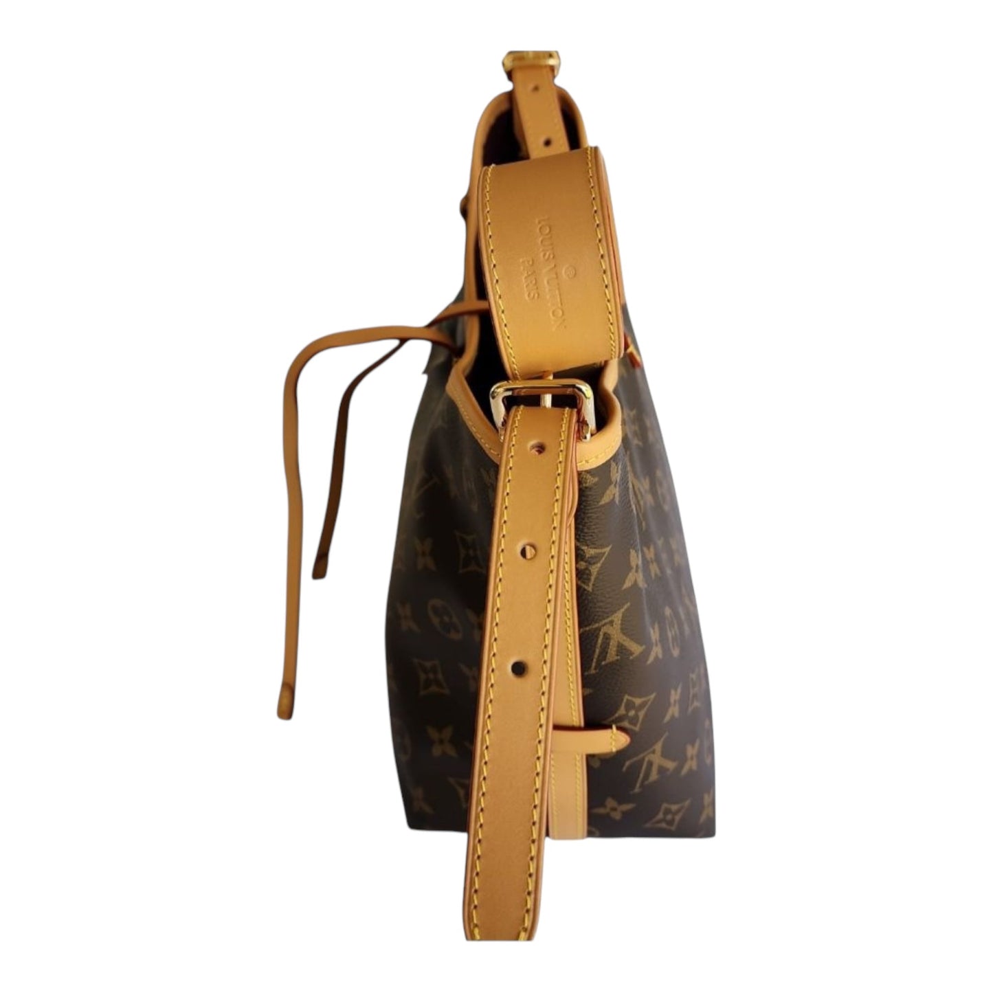 Louis Vuitton Monogram CarryAll PM
