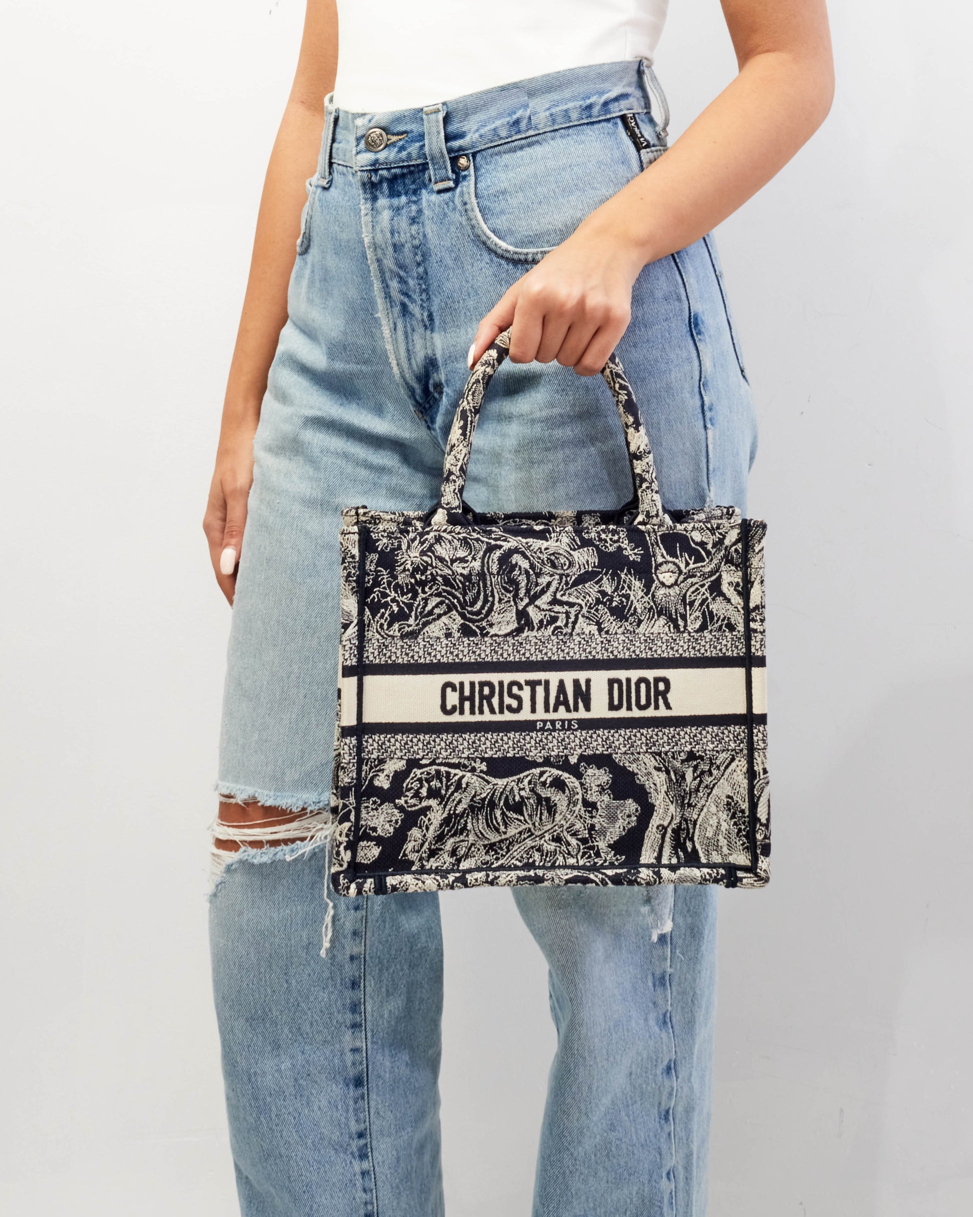 Dior Book Tote Canvas Tote